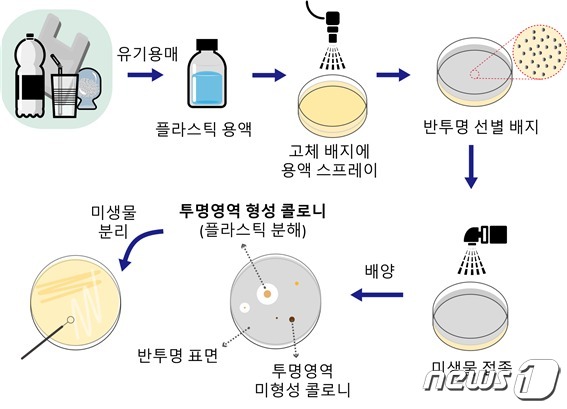 플라스틱 마이크로 스프레이 선별배지 제작과 미생물 분리 과정© 뉴스1
