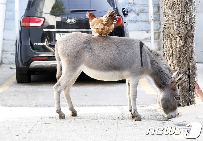 (사진은 기사 내용과 무관함) / 뉴스1 © News1