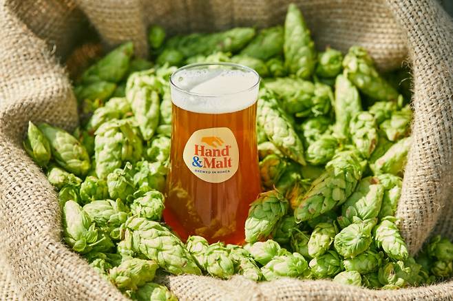 한정판 ‘하베스트 IPA’. 핸드앤몰트 제공