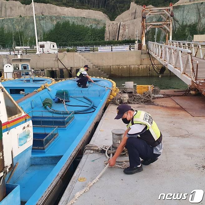 군산해경 새만금 파출소 직원들이 태풍 '찬투'에 대비해 항내 어선들의 계류 상태를 점검하고 있다.© 뉴스1