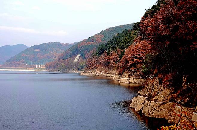 낙동강변을 따라 걷는 경남 창녕 남지개비리길 가을 전경 &copy;창녕군