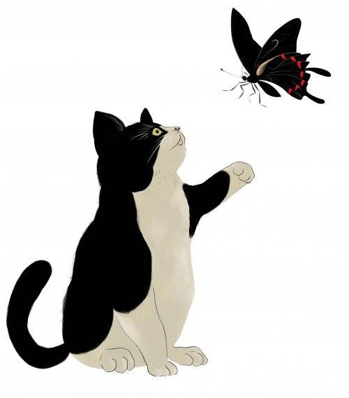 대상 수상작 ‘별쳐럼 빛나는 고양이‘