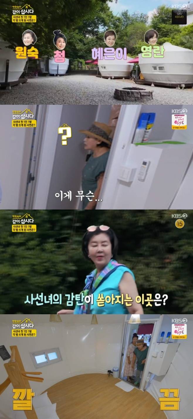 티브이데일리 포토