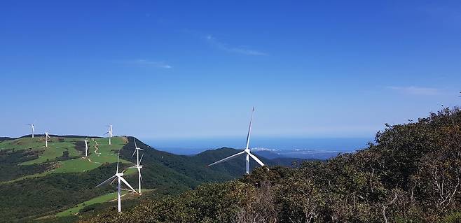 선자령 [한국등산·트레킹지원센터 제공.재판매 및 DB금지]