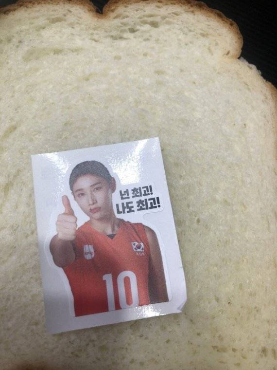 루리웹에 올라온 김연경 식빵 '식빵언니' 캡쳐