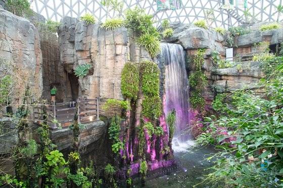 거제정글돔은 여느 식물원 온실보다 포토존이 많다. 그만큼 눈이 즐겁다. 최승표 기자