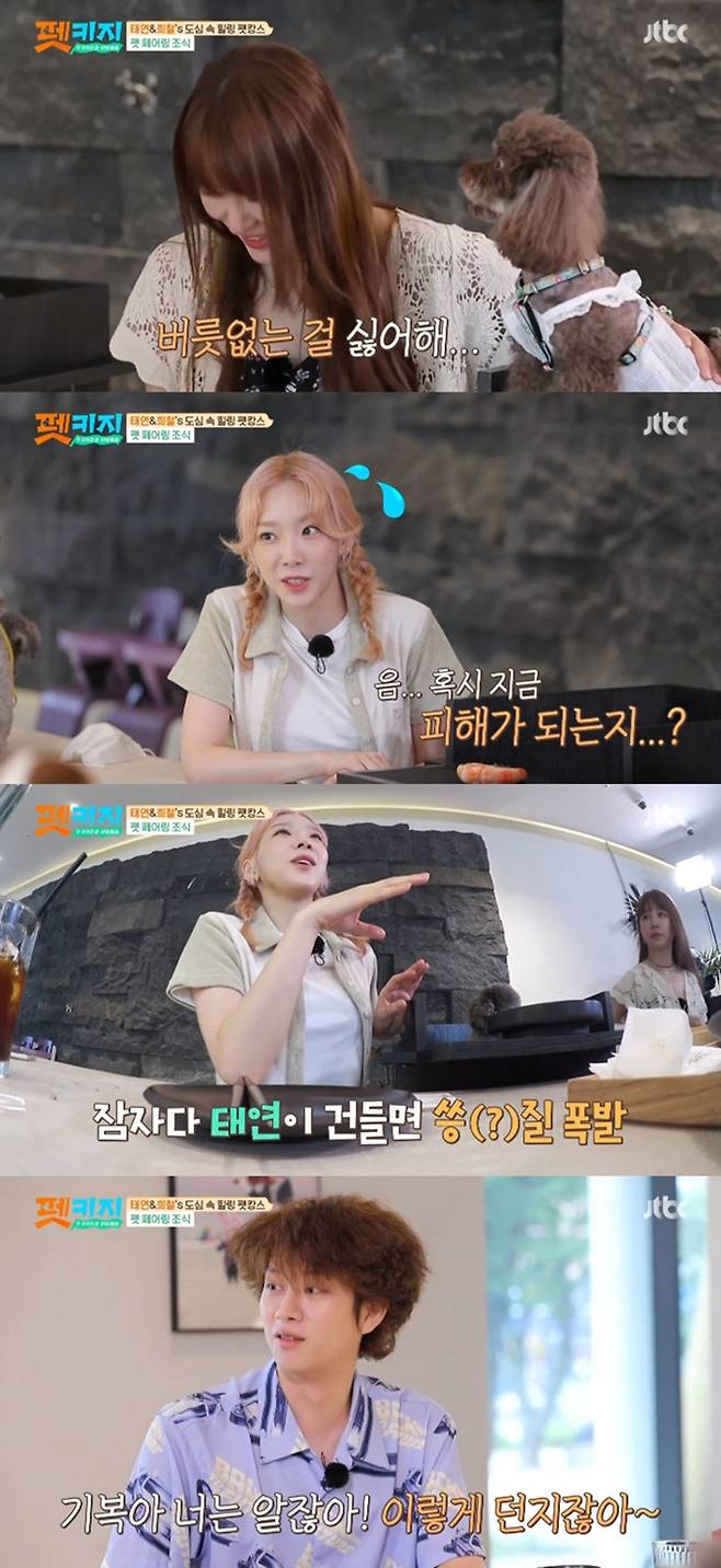 On the 16th, JTBC entertainment program Travel Battle - Pet Key (hereinafter referred to as pet key) was drawn on the second day of the pet key tour.Soon as Yoon Eun-hye opened her eyes, she gave Pet Joy a massage and spent time affectionately.Even after leaving the room, Yoon Eun-hye showed affection by taking the first rice of joy.Yoon Eun-hye, who was looking at the joy of eating rice, said, I want to take a picture of you. He came out with a camera and was excited to shoot the joy of taking a personal period.Taeyeon woke up 20 minutes before set time and started preparing hastily, as if surprised, You have to get up.Pete Xero of Taeyeon played on the bed with the sound of rice, and Taeyeon also gave Xero a meal.When the set time promised, the client, Yoon Eun-hye, arrived first.Eight minutes passed from 8:30 am, the set time, but no one came and Yoon Eun-hye waited for the guiders to mislead.Kim Hee-chul then arrived in the 39th minute, a minute later, and Yoon Eun-hye said, Ill give you a minus one.Kim Hee-chul said that Yoon Eun-hye would wait for Taieon and Kim Hee-chul said, I do not have it, but I decided to take over pet key.To Taeyeon, who arrived the latest, Yoon Eun-hye joked, I decided to give you a minus one point per minute.The three later enjoyed breakfast with the Pets.Kim Hee-chul started the contest, When I saw the children without the dining room manners, I got angry, looking at the Pet uniforms sitting most quietly sitting.He said, There are so many people who do not have manners, so I am upset and do not think how the house raised the child.Kim Hee-chul also asked, Do you have a rule to raise pet? And Yoon Eun-hye laughed, saying that he disliked being spoiled.Im a little bit of a baseball team, so I dont want to hear this, Hey, whats wrong with your kid, said Yoon Eun-hye.Finally, Taeyeon said, I think Xero also has a personality.I try to give as much respect as possible, so if you want to go around, you will be allowed to do it in a way that does not hurt people.At this time, Xero jumped on the table and Taeyeon laughed, saying, Do you hurt me now, and I will sit down.Kim Hee-chul asked about his experience of I sacrificed this much for Pet.I give up bed when I sleep, Taeyeon said, and Kim Hee-chul asked, So you sleep in a doghouse.I think Xero is my bed, so when I touch it, Im king and (angry) I sleep while avoiding Xero, Taeyeon explained.Kim Hee-chul also said he always sacrificed, My wrist is out now. I keep throwing the ball. Then my wrist becomes almost as tattered as a baseball player.Kim Hee-chuls action, which seemed to throw the ball, was mistaken for throwing the ball, and the three people rushed to say, No, I did not throw.Just in time, the food for the Pets arrived and I was able to sit down and sit down.Photo: JTBC Broadcasting Screen