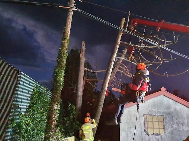 강풍에 휘청이는 나무 안전조치하는 소방대원 (제주=연합뉴스) 지난 15일 서귀포시 색달동에 있는 나무가 비바람에 휘청이자 소방대원들이 안전 조치를 하고 있다. 2021.9.16 [제주도소방본부 제공. DB 금지]