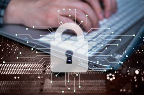 (그래픽=이미지투데이 제공)