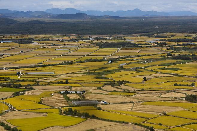 Fields in Cheorwon County, along the inter-Korean border, show off their fall colors on a clear day on Thursday. (Kim Tae-hyeong/The Hankyoreh)