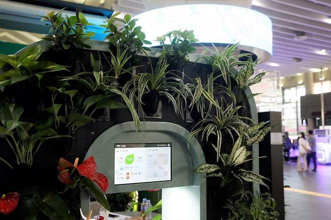 SRT 수서역에 설치된 사물인터넷(IoT) 기반 식물형 공기정화기. SR제공