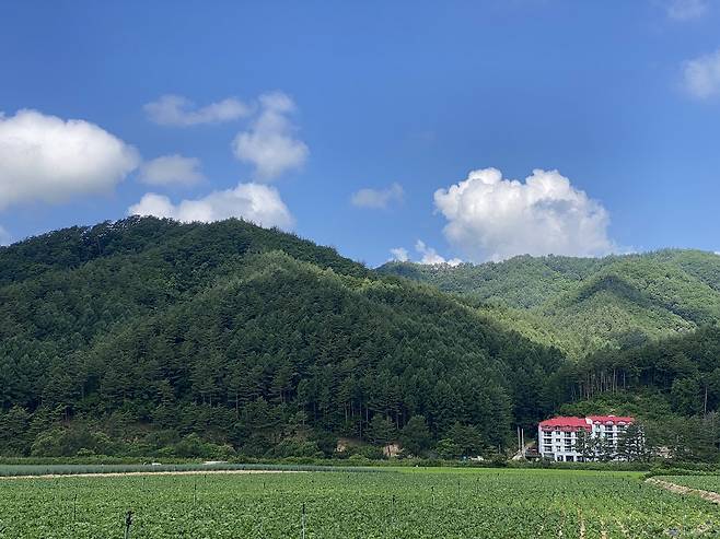 구경하는 재미가 있던 횡계 마을.