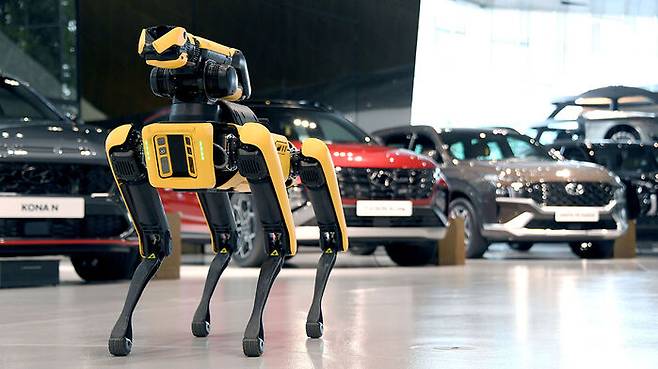 (사진=현대차그룹 제공, 연합뉴스)