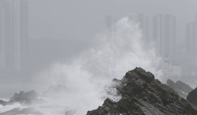 지난 17일 오후 14호 태풍 ‘찬투’의 영향으로 울산시 북구 앞바다에 거센 파도가 몰아치고 있다. 연합뉴스