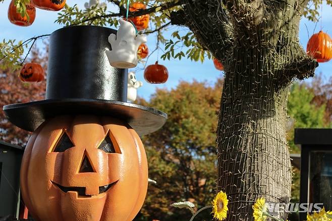 [대구=뉴시스] 이지연 기자 = 대구 달성군 네이처파크는 핼러윈 페스티벌 '호박마녀의 초대'를 오는 11월7일까지 운영한다. (사진=네이처파크 제공) 2021.09.18. photo@newsis.com