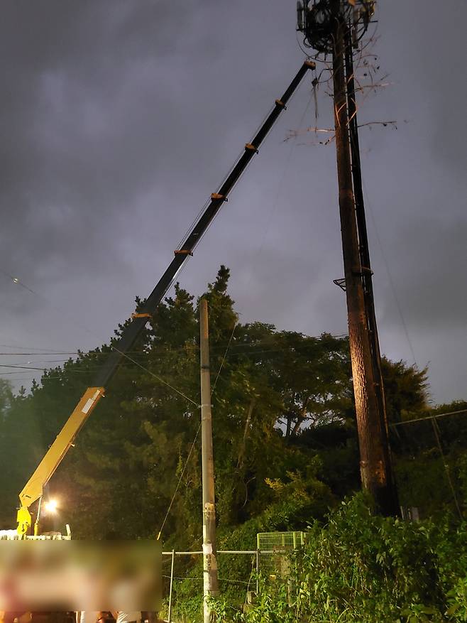 [부산=뉴시스] 부산지역에 강풍주의보가 발효된 17일 오후 강서구의 한 도로 옆 기지국 중계탑(목재 전신주)의 고정 와이어가 강풍에 끊어져 쓰러질 것 같다는 신고가 접수돼 안전조치가 진행되고 있다. (사진=부산소방재난본부 제공) *재판매 및 DB 금지