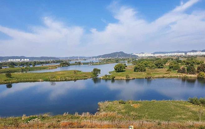 생태학습관에서 본 달성습지 전경. 대구시 제공