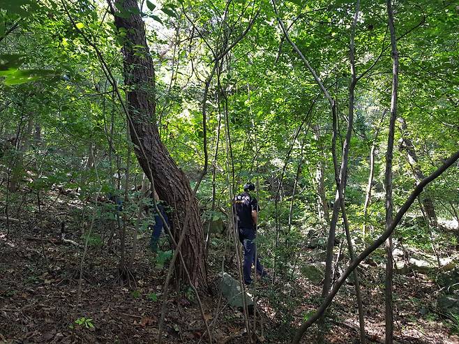 19일 오전 전남 순천시 해룡면 한 야산에서 40대 남성이 숨진 채 발견됐다. 스스로 목숨을 끊은 것으로 알려진 남성 시신이 발견된 야산./전남경찰청
