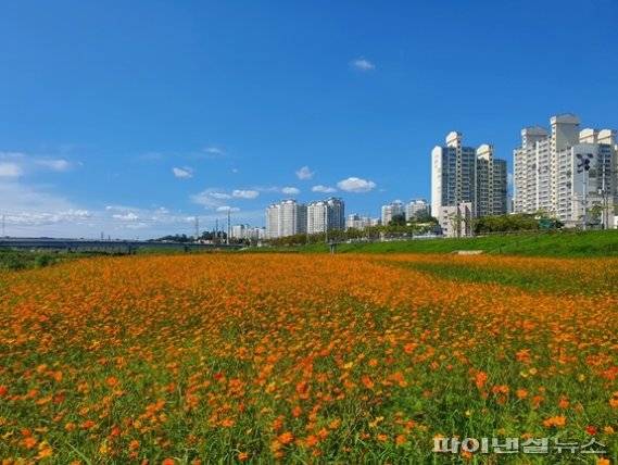 자유로 따라 황금노을 물드는 파주 문산노을길. 사진제공=파주시
