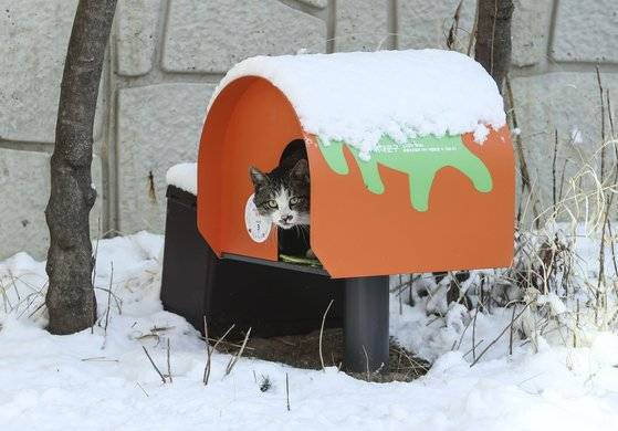 서울 서대문구의회 주차장 한 켠에 마련된 길고양이 급식소를 찾은 고양이 한 마리가 지난 2월 4일 사료를 먹고 급식소를 나서며 주위를 살피고 있다. 김성룡 기자