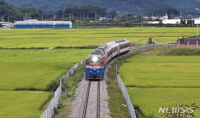 [상주=뉴시스] 이무열 기자 = 민족 대명절 추석을 나흘 앞둔 17일 오후 귀향 열차가 경북 상주시 청리면 들녘을 가로지르며 달리고 있다.  2021.09.17. lmy@newsis.com