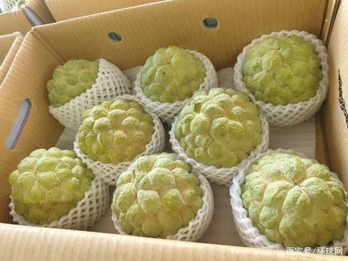 [환구망 화면 캡처]