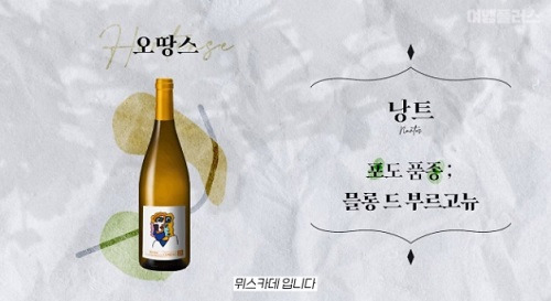 여행+ 영상 화면 캡처.