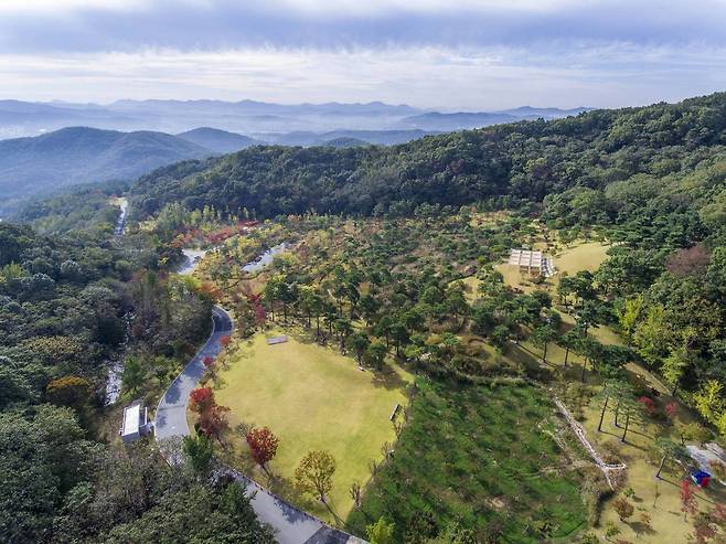 에버랜드 포레스트 캠프 일대 전경