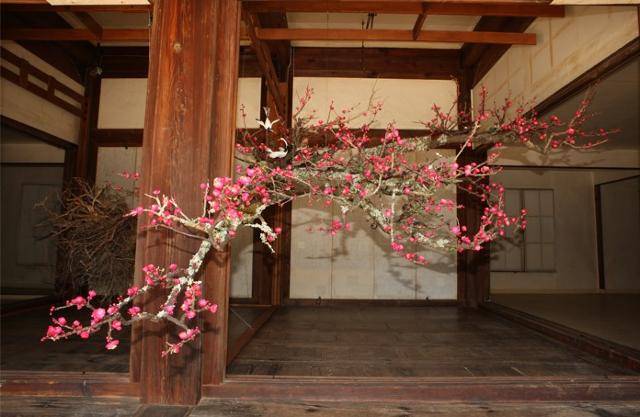 황수로의 홍도화. 국립현대미술관 제공