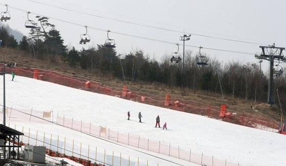 지난 2월 7일 강원 평창 알펜시아 스키장에서 스키를 즐기는 사람들 [연합뉴스]