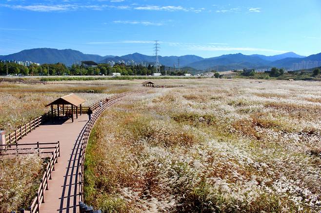 대구 대명유수지·달성습지. 한국관광공사 제공