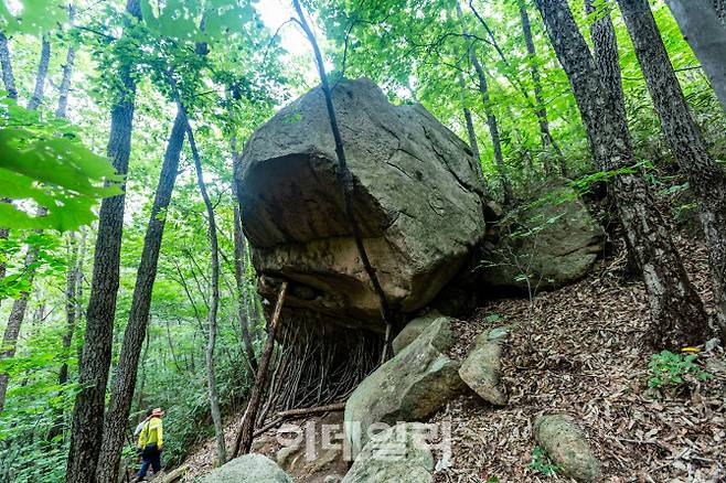 기차산 해골바위로 오르는 길에 만난 삿갓바위. 바위가 넘어지지 않도록 나무로 받쳐두었다.