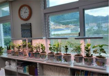 트리플래닛이 초등학생 약 9000명 대상으로 환경교육 콘텐츠를 보급 완료했다. /사진제공=트리플래닛