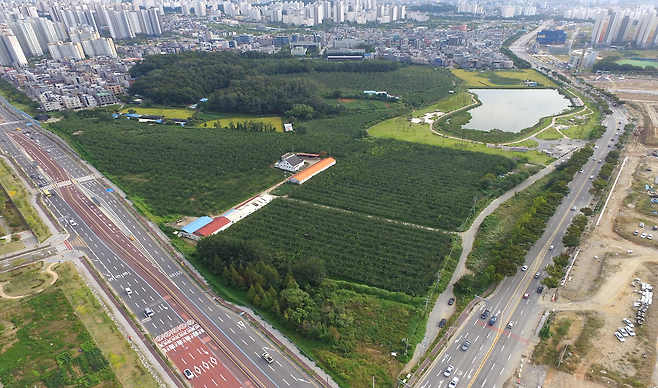 모산 근린공원 조성 전 전경. / 사진제공=평택시