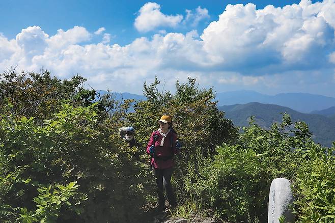매봉산 정상에서 북서쪽 조망. 오른쪽 뒤는 영월지맥인 신선봉(오른쪽 앞)과 치악산 비로봉(뒤)과 매화산. 왼쪽 나뭇가지 뒤는 남대봉이다.