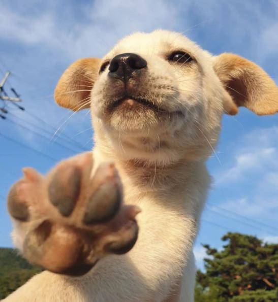 인스타그램 캡처