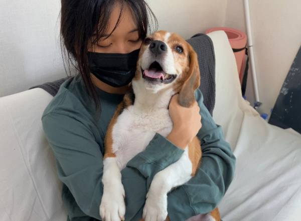 경기도 가평군의 개인구조자 송은정씨가 지난 4월 구조한 4살 비글 모티. 심장사상충에 감염돼 고통스러운 표정을 짓던 모티는 임시보호를 받으며 미소를 되찾았다. 지난 6일 수원시에서 만난 임시보호자 이나은씨와 모티. 수원=김채연 인턴PD