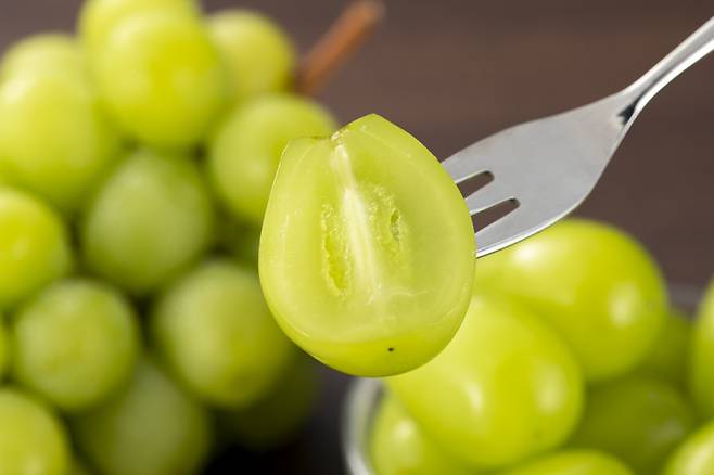 샤인머스캣 이미지.[게티이미지뱅크]