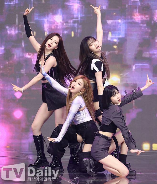 티브이데일리 포토