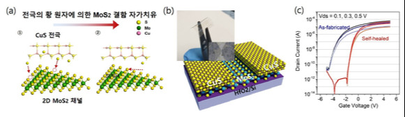 (a) CuS 전극을 통한 MoS2 자가치유 모식도. CuS 전극의 황 원자들을 통해 MoS2의 결함을 채워 자가치유 특성을 발현함. (b) MoS2/CuS 트랜지스터 소자 및 유연 소자와 이의 동작 특성. (c) 높은 전자이동도 (~100㎠/V/s)와 ON/OFF 비율 (>10^8) 등의 우수한 성능 구현. [사진 및 설명=박상연]