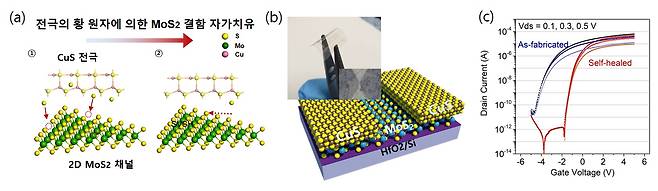 자가치유 반도체 소자 개발 - 성균관대 물리학과 제공