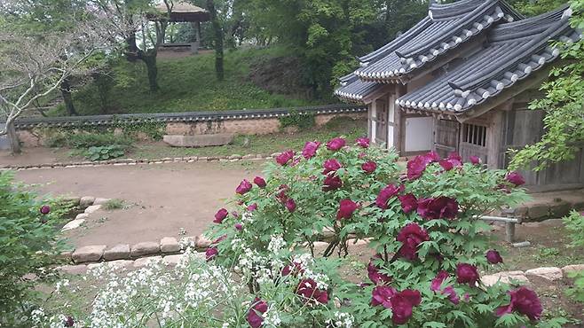 백운동별서의 대문 안쪽 정경. 가까이 작약꽃이 피었고 저 멀리 정자는 제11경 정선대다.ⓒ강진군청 제공