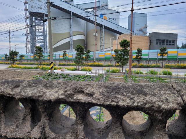 강원 동해시 동해항 인근 송정동에 사는 한 주민의 집 담장 안쪽에서 바라본 항만 모습. 하역과 운송을 담당하는 시설이 가깝게 보인다. 송진호 인턴기자