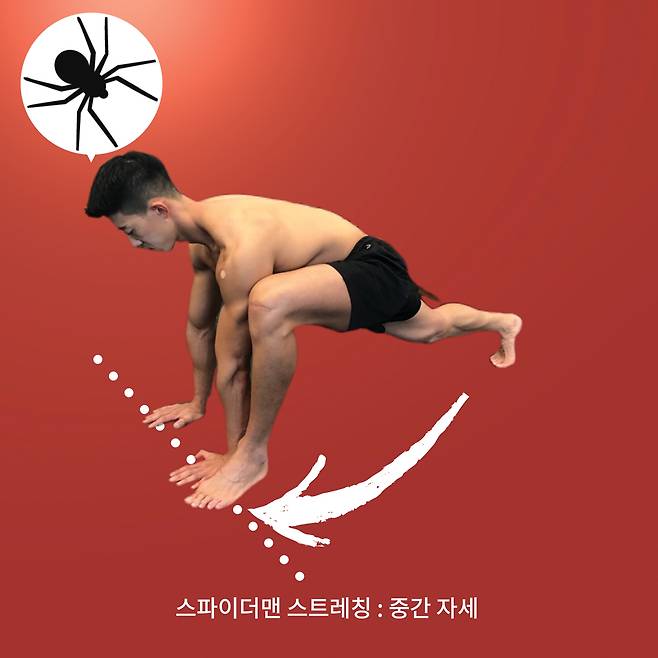 스트레칭 및 준비 동작 2.
