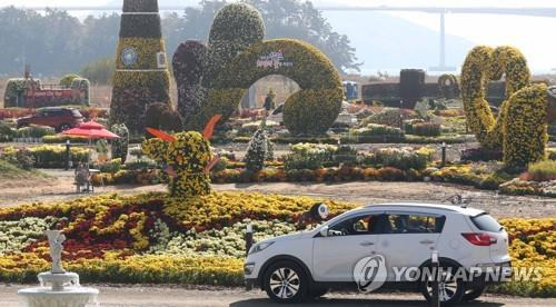 2020년 '드라이브 스루' 마산국화축제 [연합뉴스 자료사진]