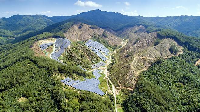 2020년 8월 태양광 사업 공사중인 전북 장수군 천천면의 한 야산./김영근 기자