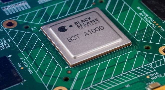 블랙 세서미의 AI 반도체. /트위터 캡처