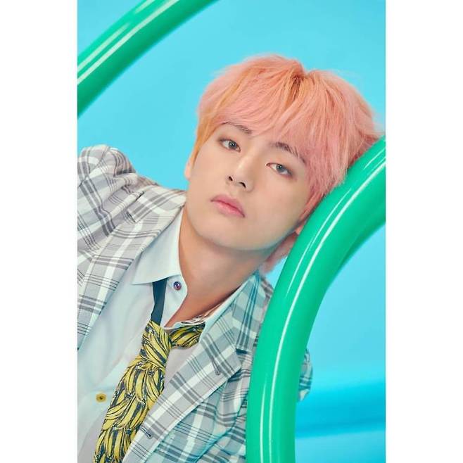 방탄소년단 뷔 (@bts.bighitofficial)