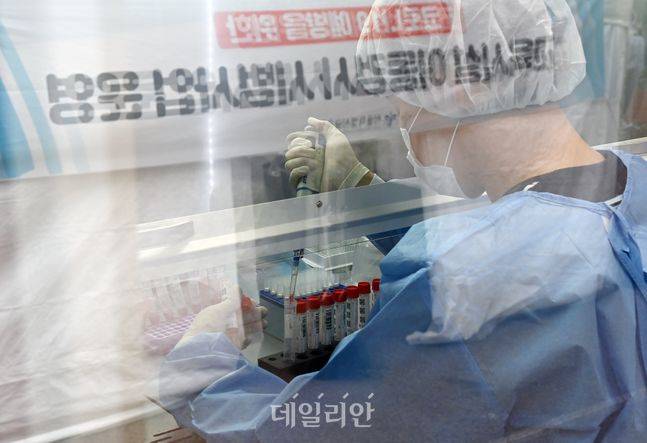 ⓒ사진공동취재단