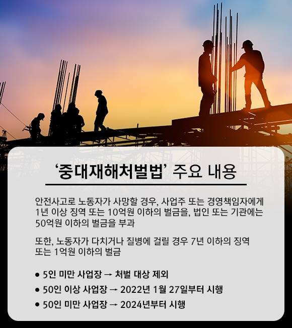 [그래픽=조은수 기자]